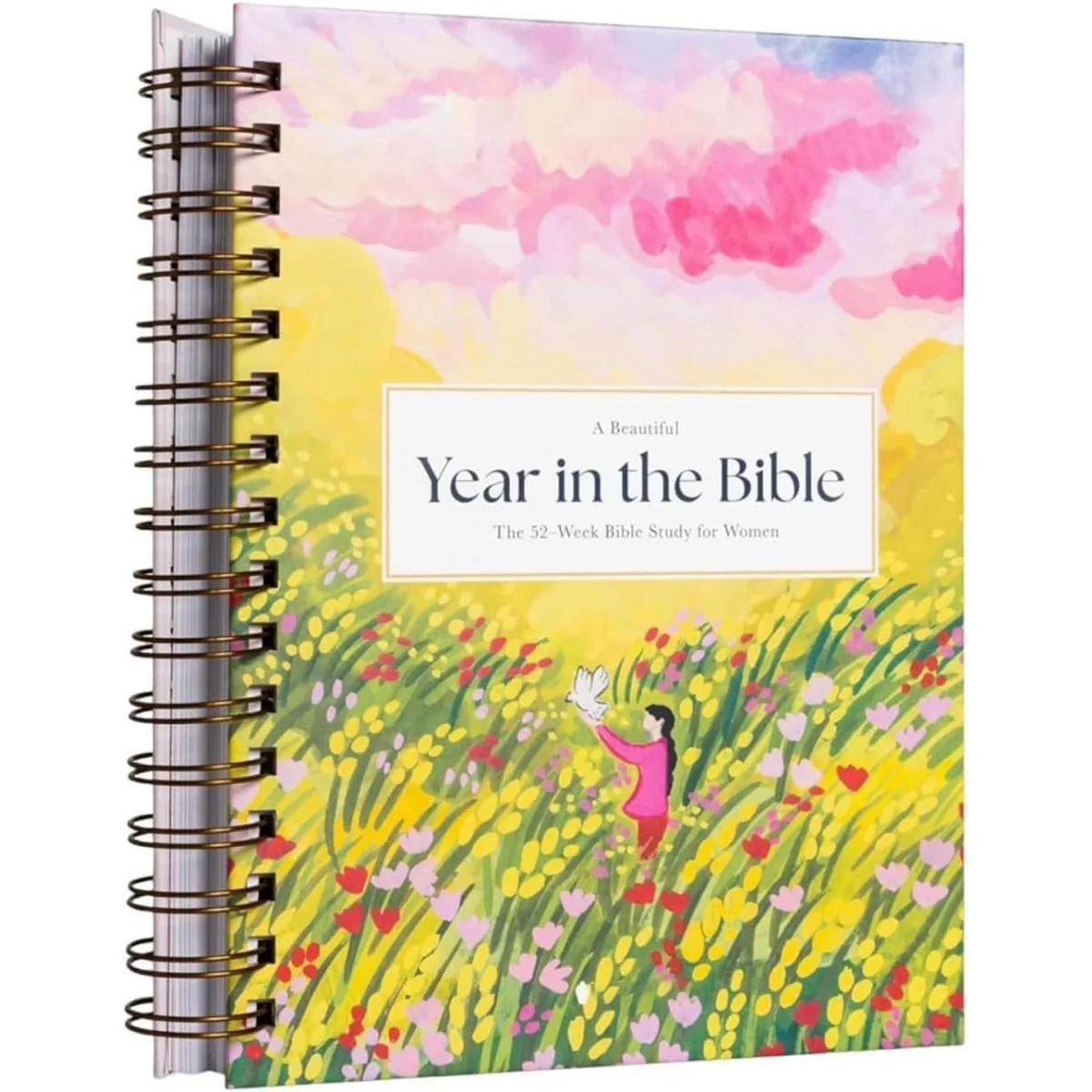 A Beautiful Year in The Bible: Spiral-Bound Study Guide