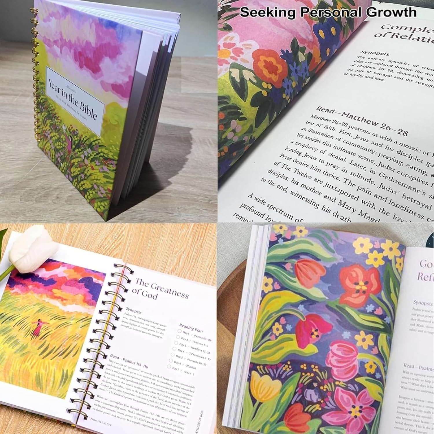 A Beautiful Year in The Bible: Spiral-Bound Study Guide - Image 2