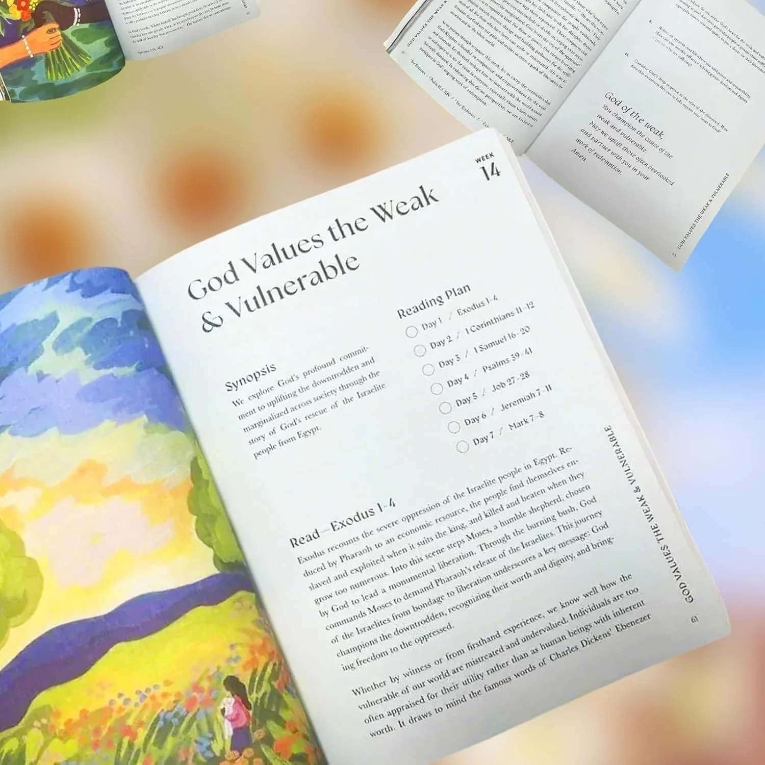 A Beautiful Year in The Bible: Spiral-Bound Study Guide - Image 4