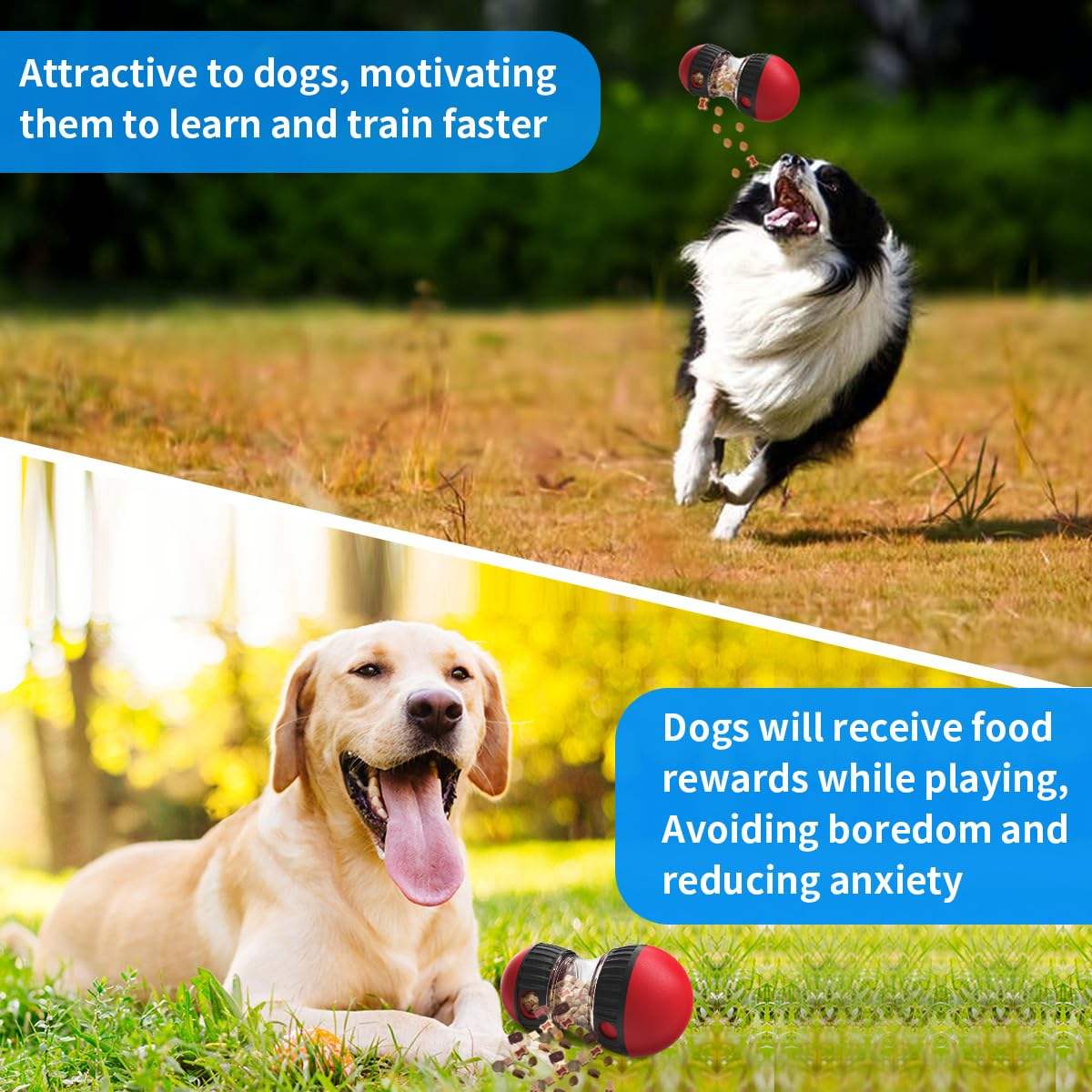 Adjustable Slow-Feed Treat Dispensing Dog Puzzle Ball - Image 5