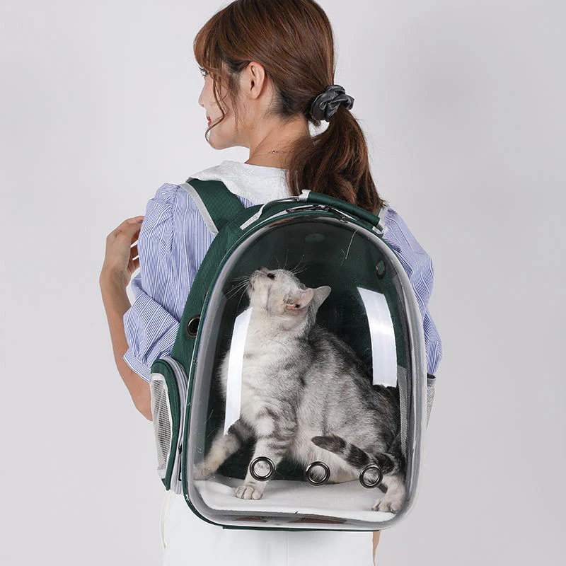 Breathable Transparent Space Capsule Pet Backpack – Expandable Travel Carrier for Small Cats & Dog