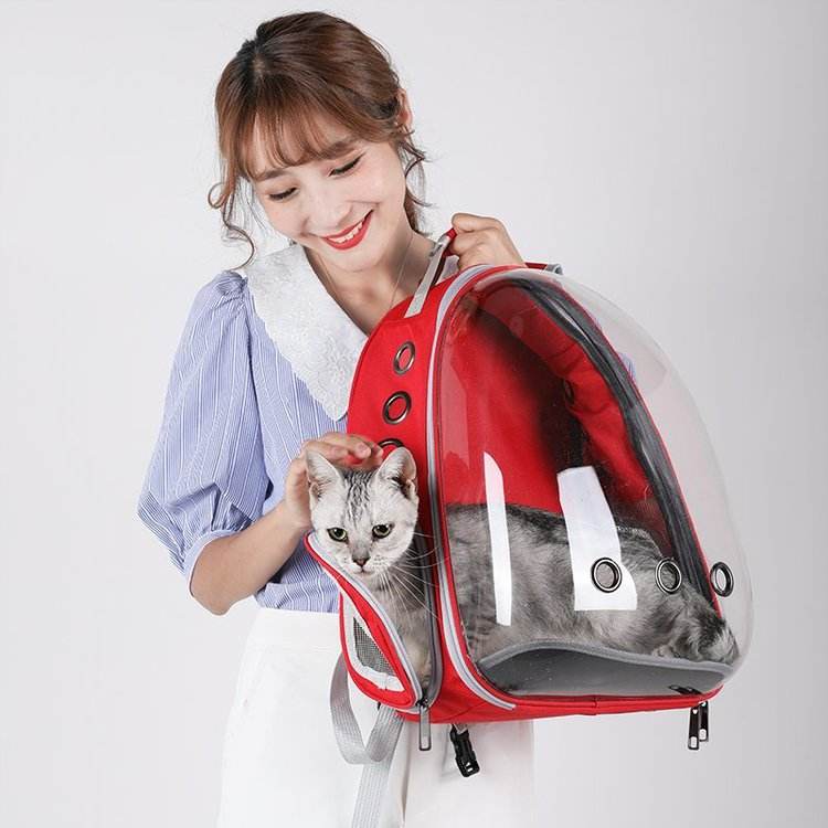 Breathable Transparent Space Capsule Pet Backpack – Expandable Travel Carrier for Small Cats & Dog - Image 3