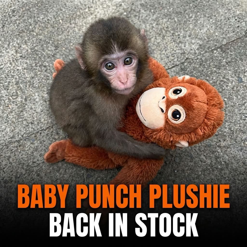 Baby Punch Plushie - Image 3