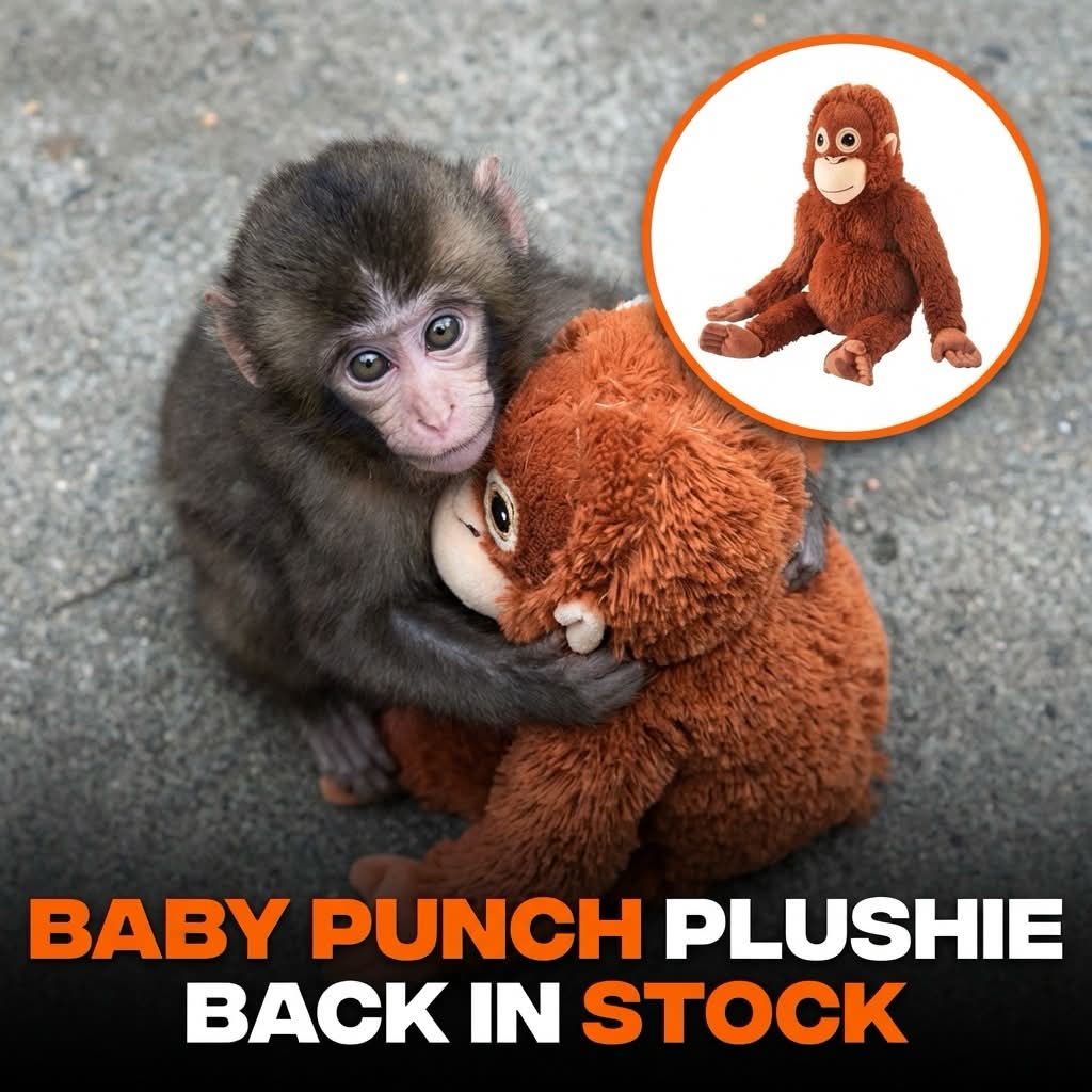 Baby Punch Plushie - Image 4