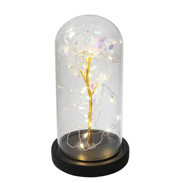 Galaxy Forever Rose - Image 21