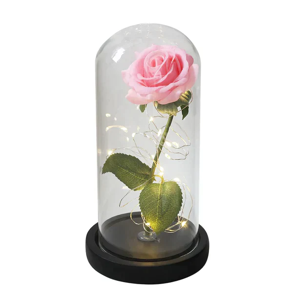 Galaxy Forever Rose - Image 24