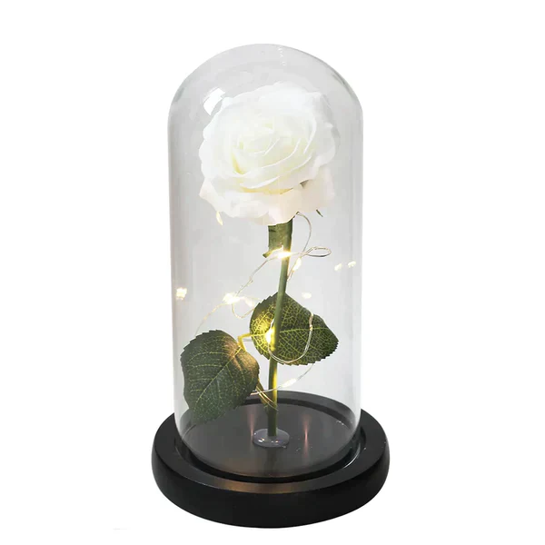 Galaxy Forever Rose - Image 25