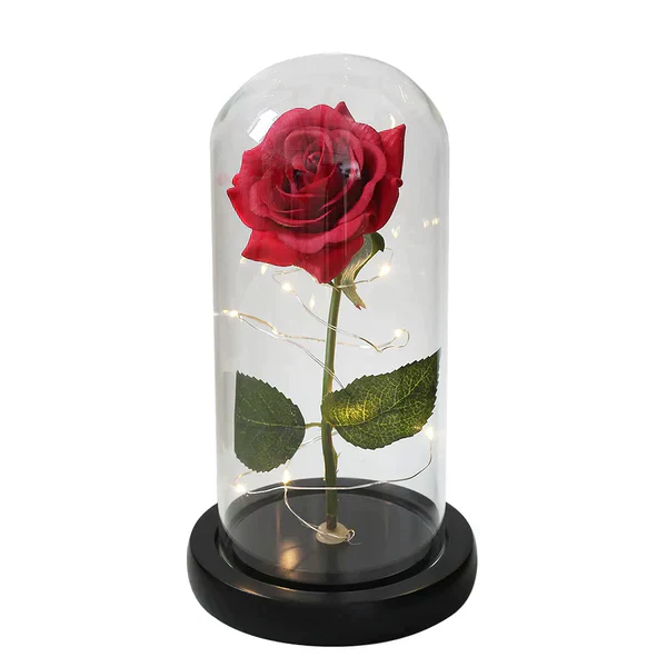 Galaxy Forever Rose - Image 26