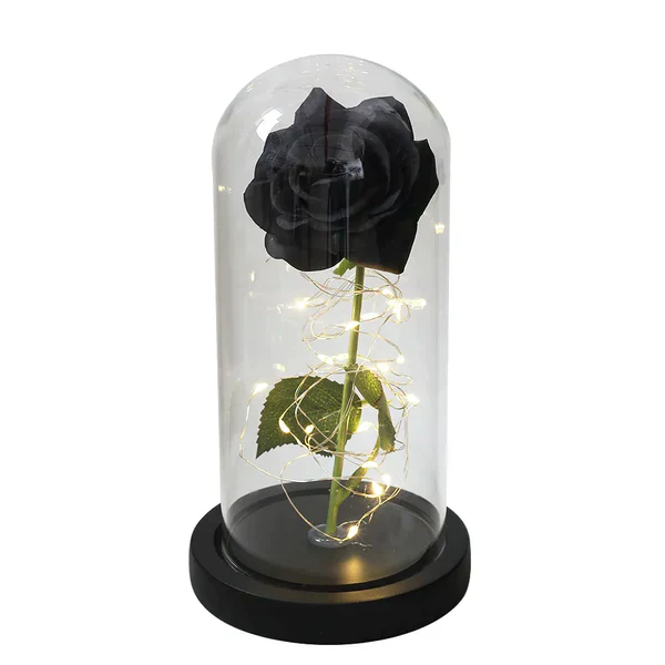 Galaxy Forever Rose - Image 27
