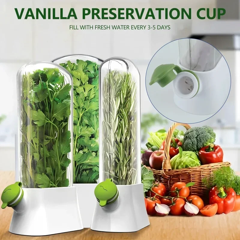 Herb Keeper Container for Refrigerator