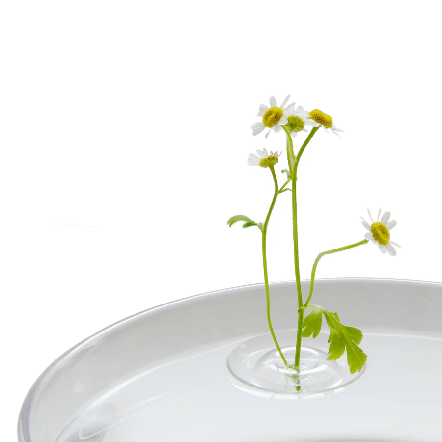 Japanese Floating Ripple Glass Vase