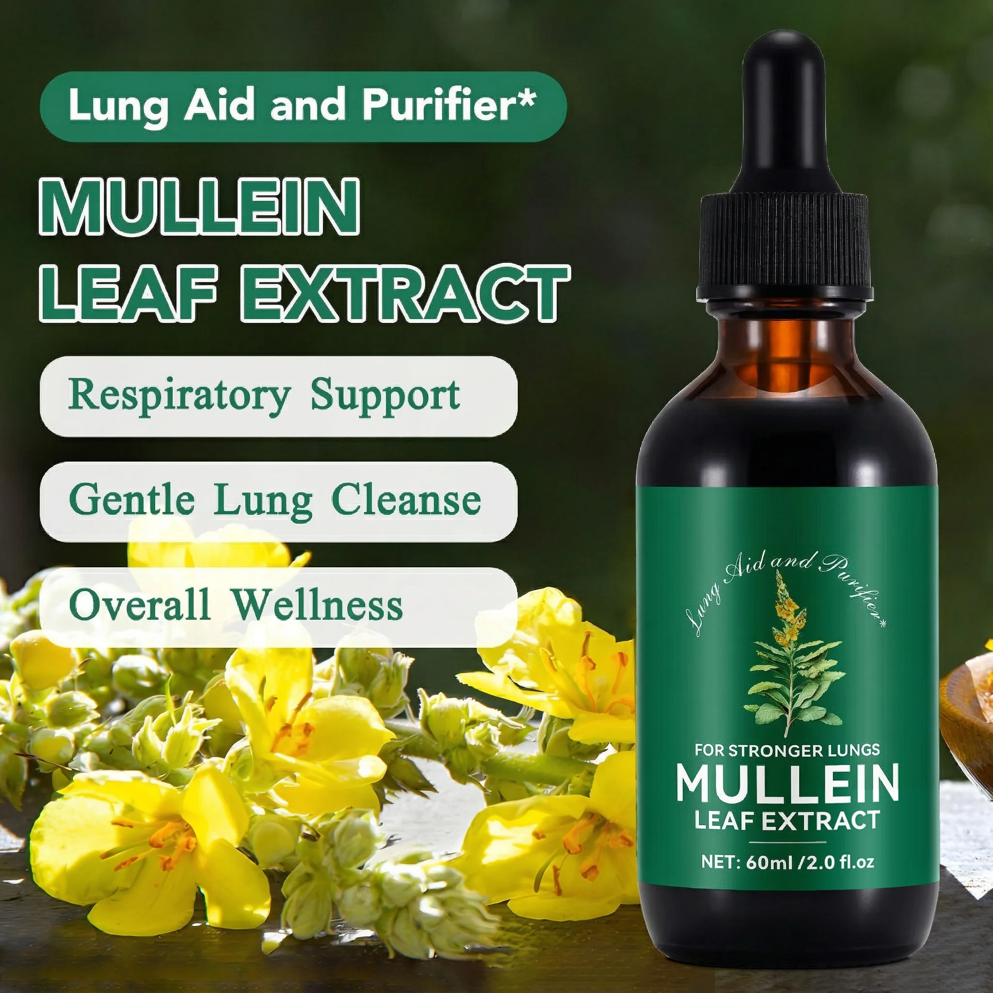 Mullein Leaf Chlorophyll Drops - Image 4