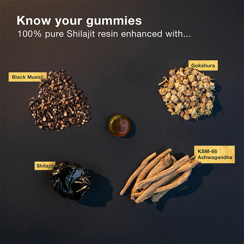 Organic Himalayan Shilajit Gummies - Image 3