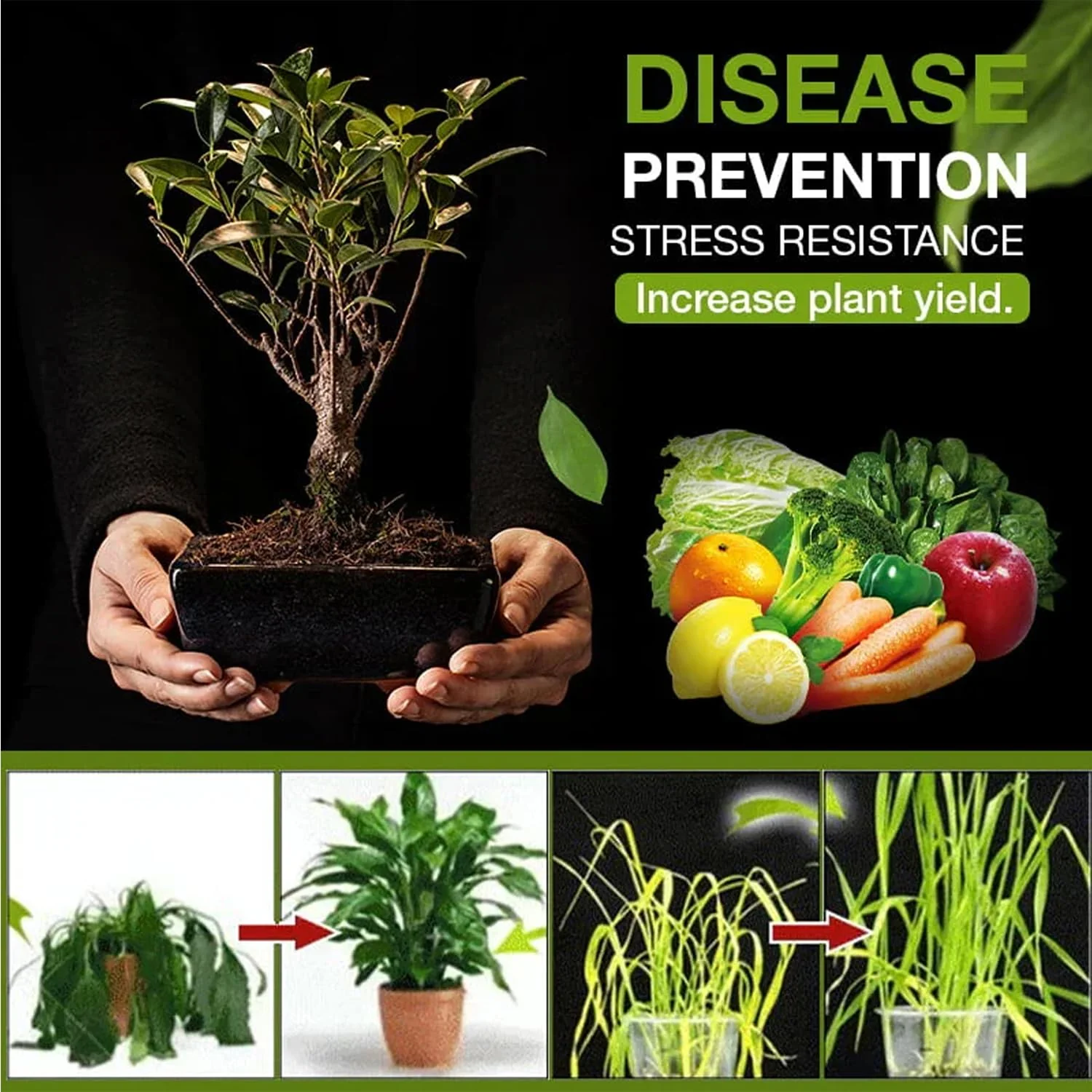 Organic Soil Pro Activator - Image 2