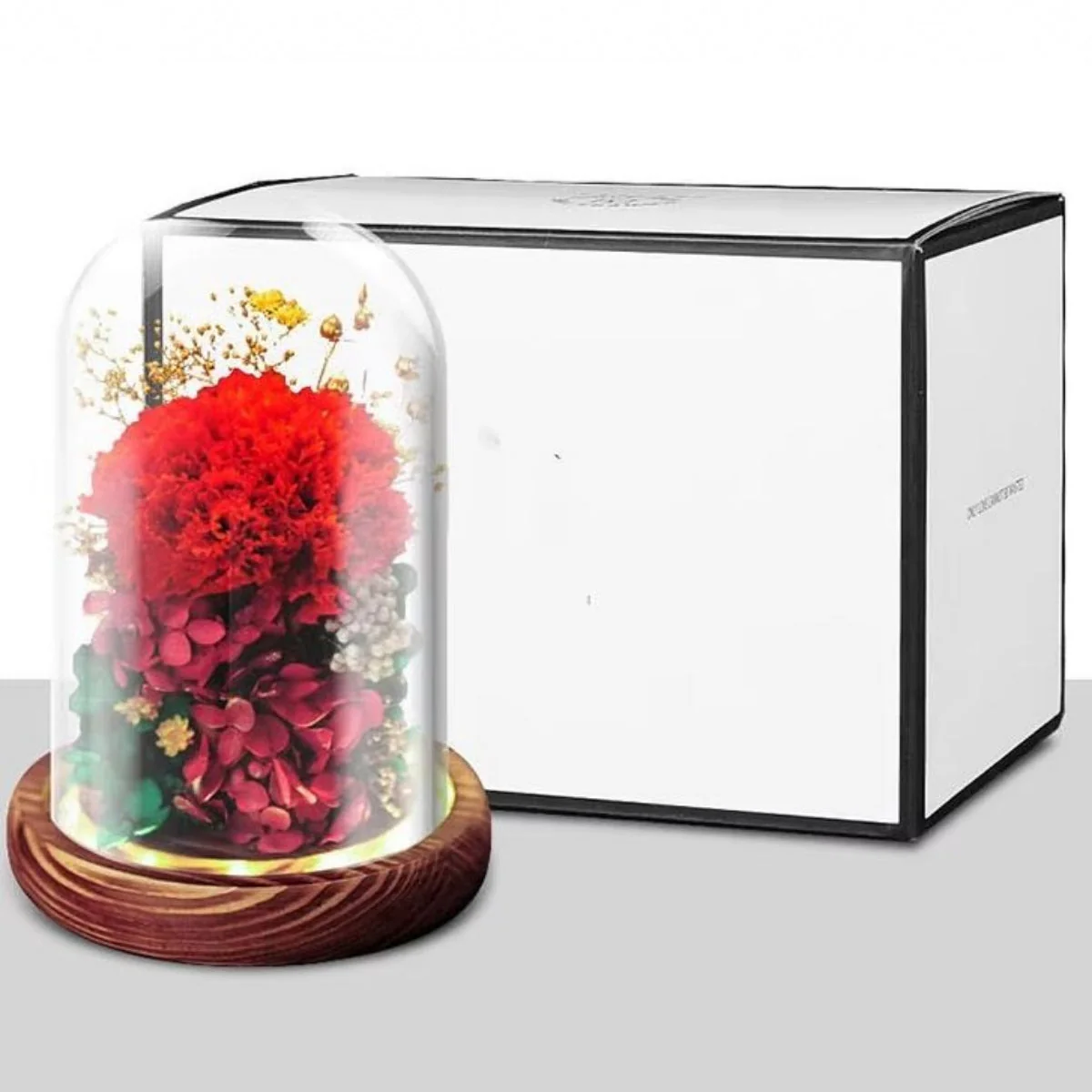 Preserved Flowers Glass Dome with LED Lights