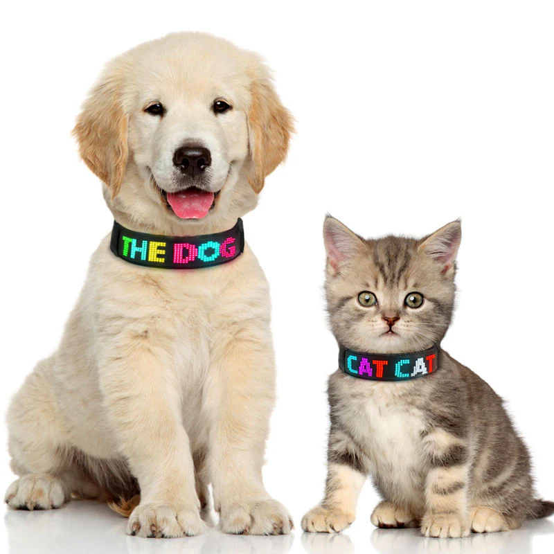 Programmable Waterproof LED Dog Collar Light – USB Rechargeable