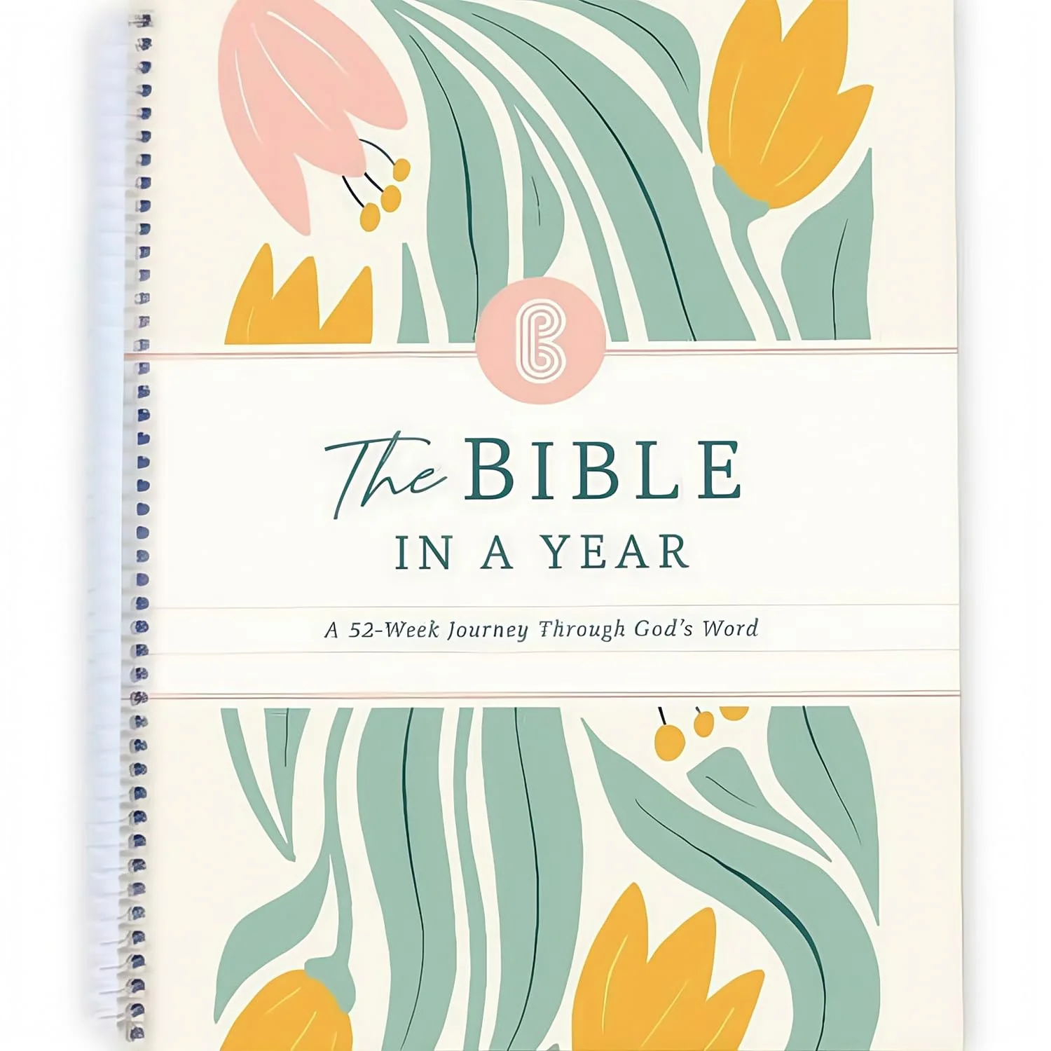 Bible in a Year Study Guide - Walk By Faith Bundle - Image 13