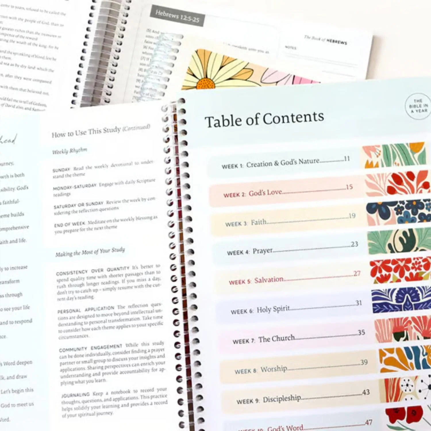 Bible in a Year Study Guide - Walk By Faith Bundle - Image 4