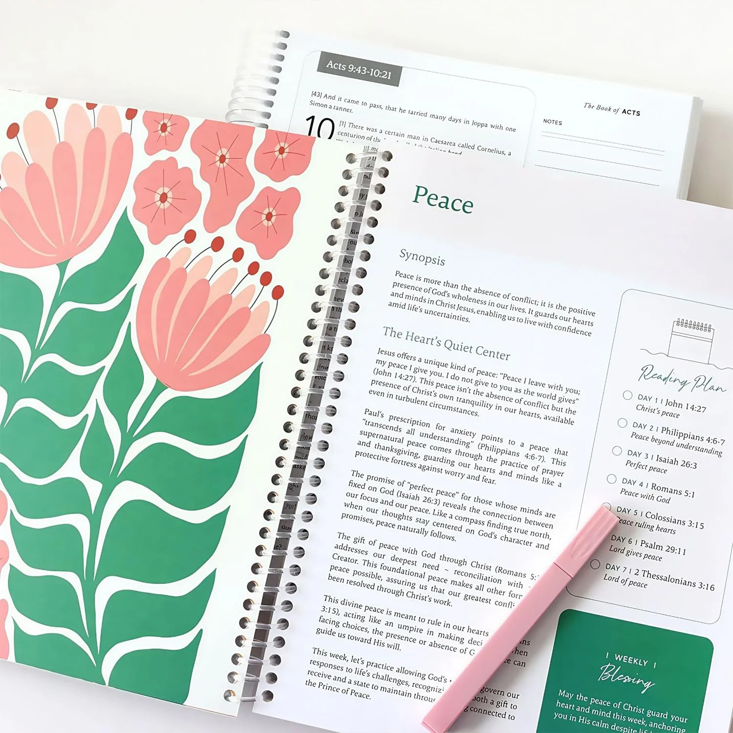 Bible in a Year Study Guide - Walk By Faith Bundle - Image 7